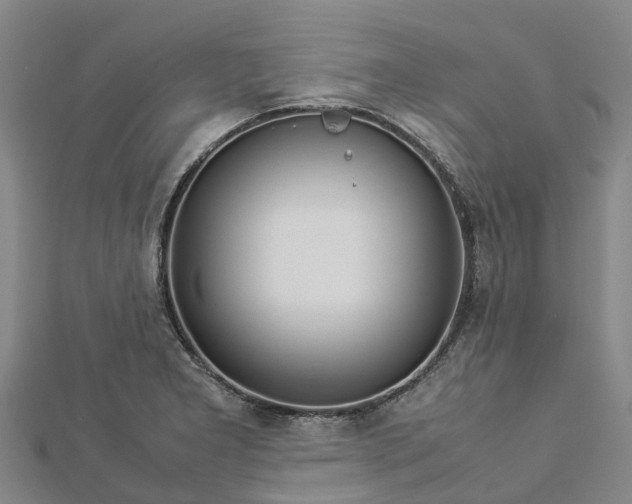 X0000113011277200909031306