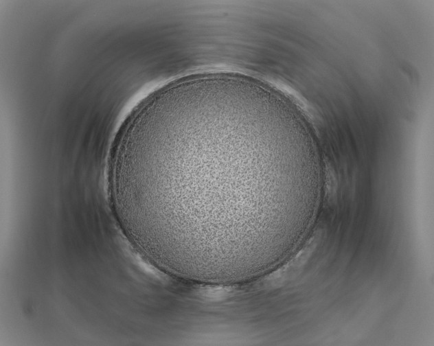 X0000113011278200909031306