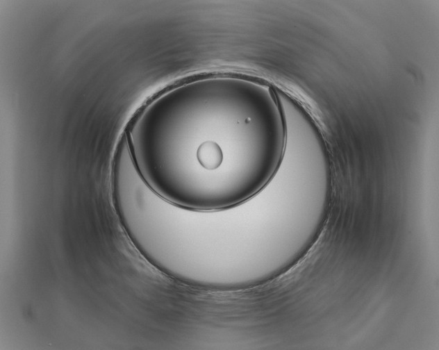 X0000113011280200909031306