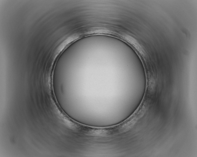 X0000113011282200909031306