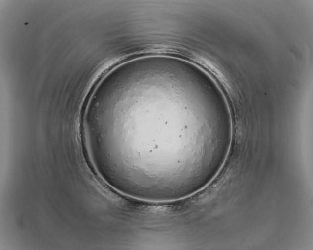 X0000113011283200909031306