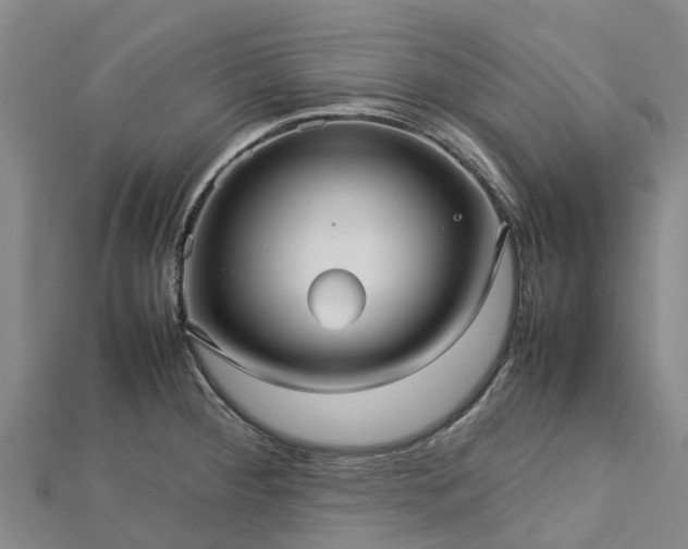 X0000113011284200909031306