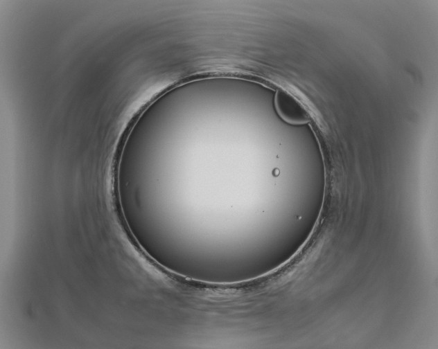 X0000113011285200909031306