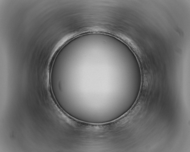 X0000113011286200909031306