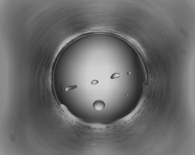 X0000113011288200909031306