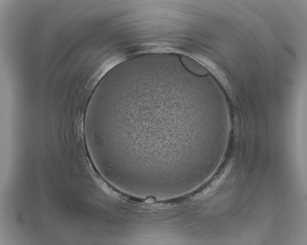 X0000113011289200909031306