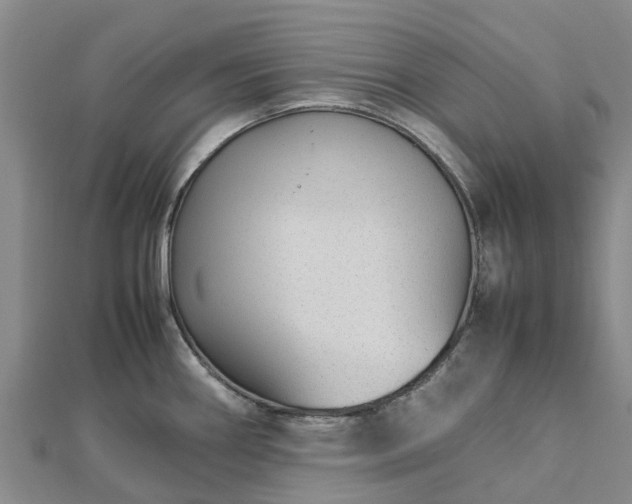 X0000113011290200909031306