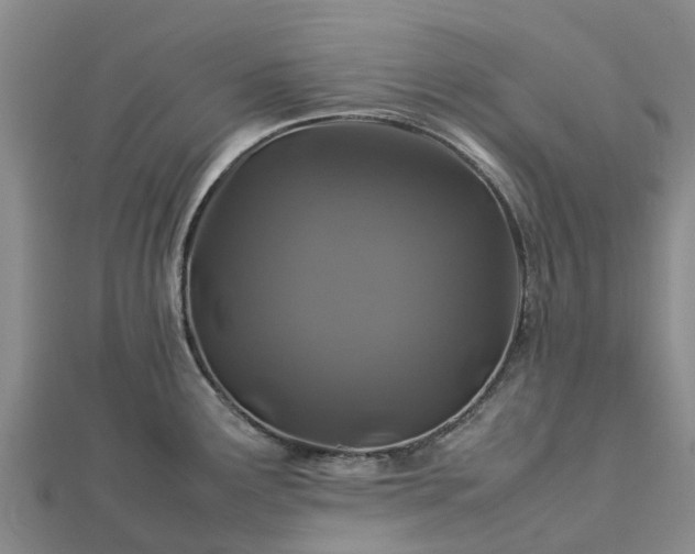 X0000113011291200909031306