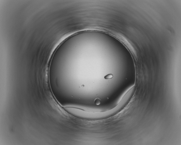 X0000113011292200909031306