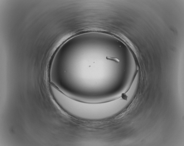 X0000113011293200909031306