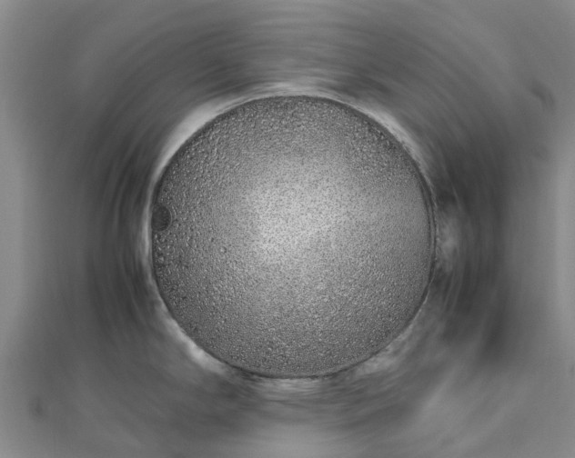 X0000113011294200909031306