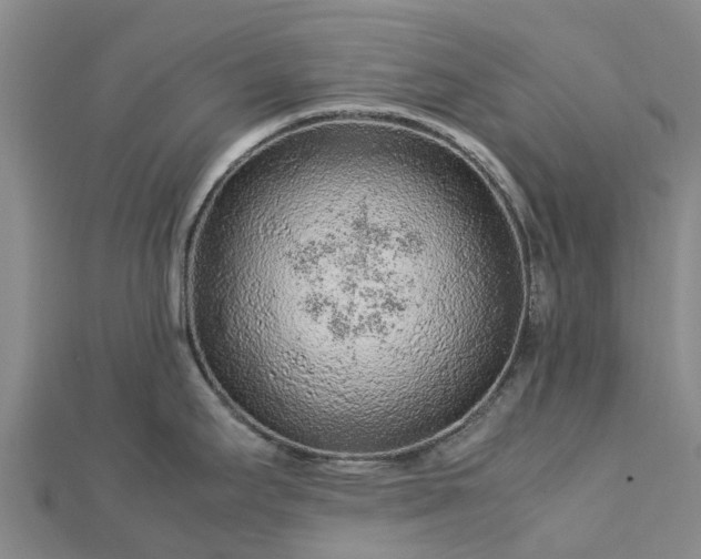 X0000113011295200909031306