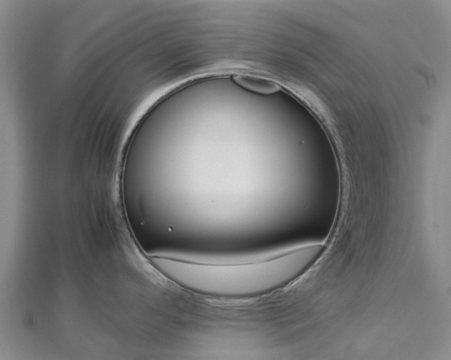 X0000113011296200909031306