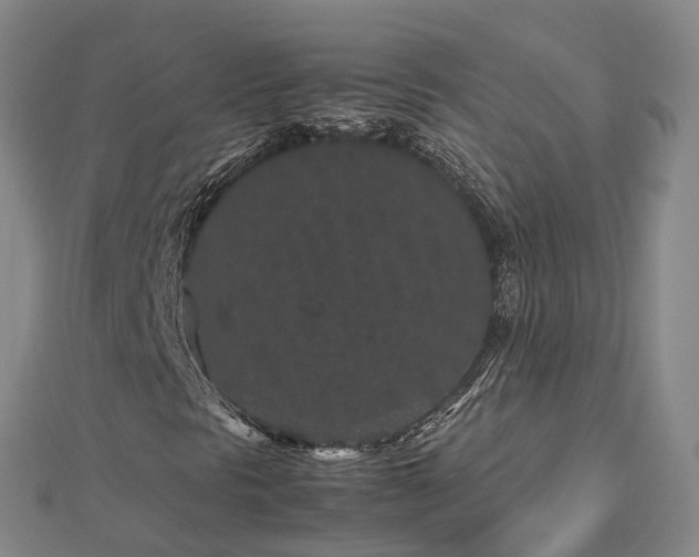 X0000113011297200909031305