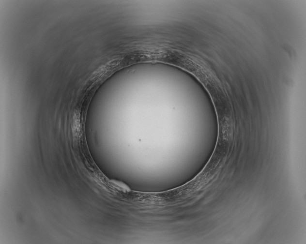 X0000113011298200909031305