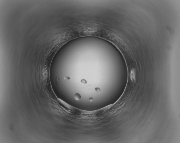 X0000113011299200909031305