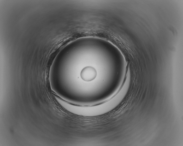 X0000113011300200909031305