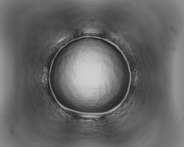 X0000113011301200909031305