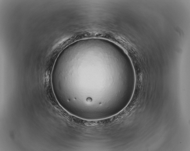 X0000113011302200909031305