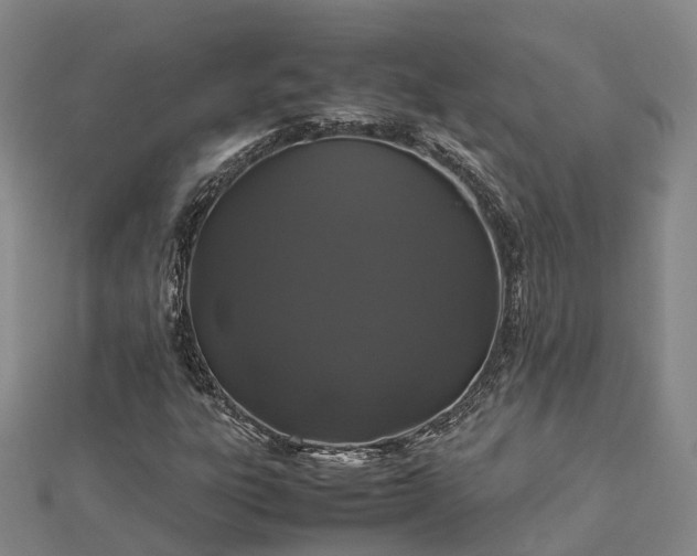 X0000113011303200909031305