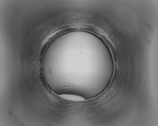 X0000113011304200909031305