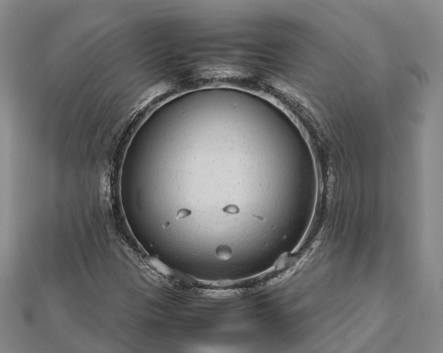 X0000113011305200909031305