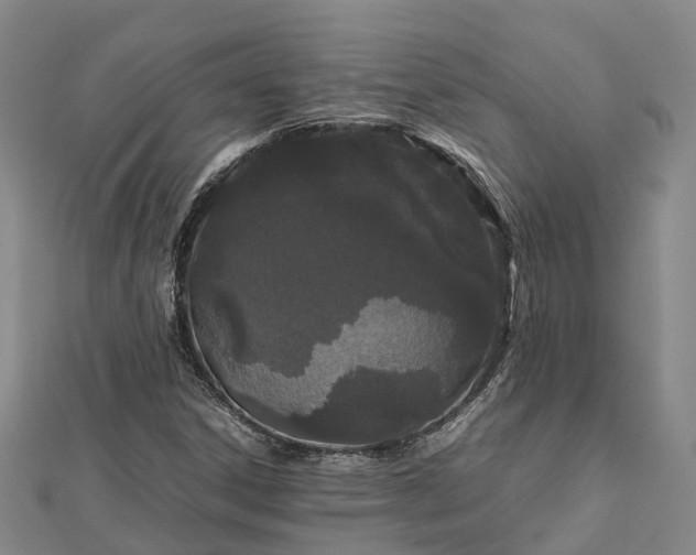 X0000113011306200909031305