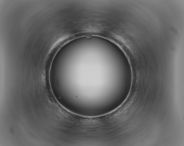 X0000113011307200909031305