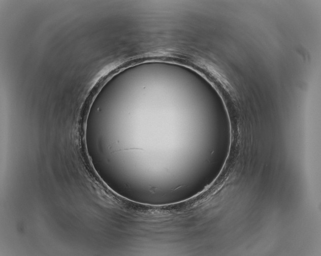 X0000113011308200909031305