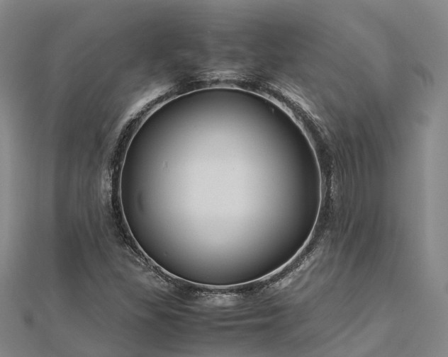 X0000113011309200909031305