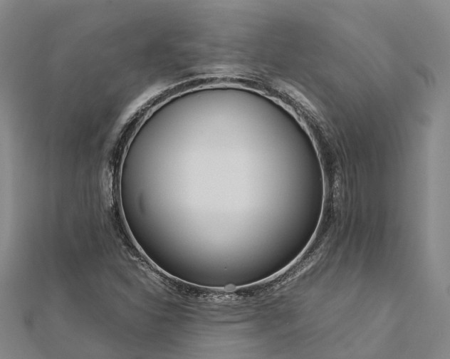 X0000113011310200909031305