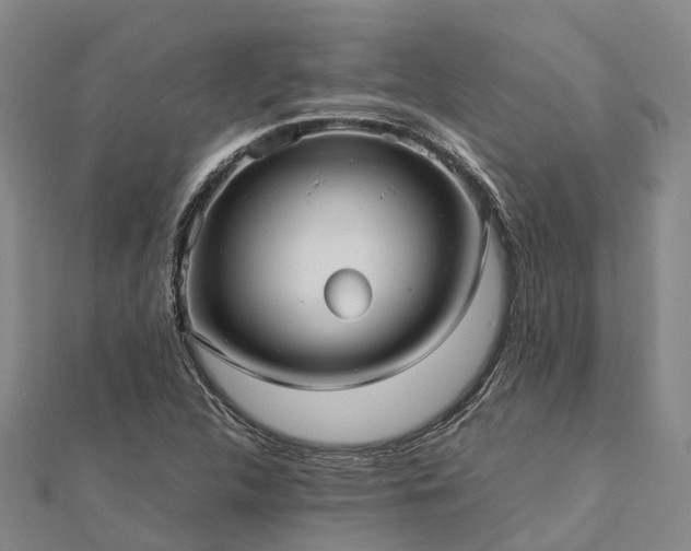 X0000113011312200909031305