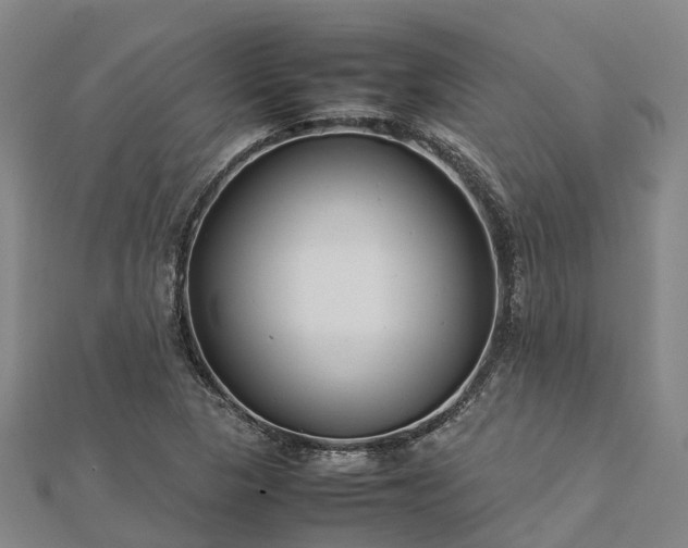 X0000113011313200909031306