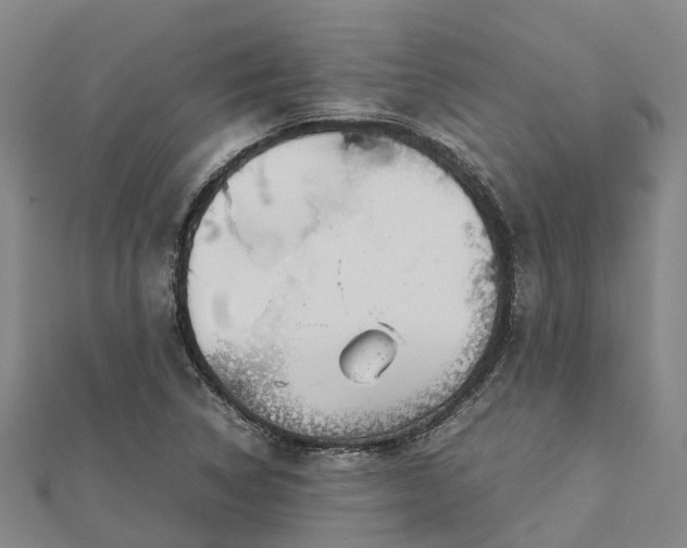 X0000113011314200909031306