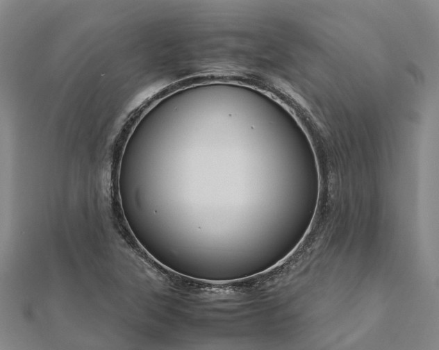 X0000113011315200909031306