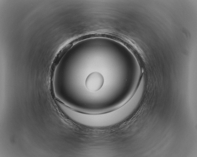 X0000113011316200909031306