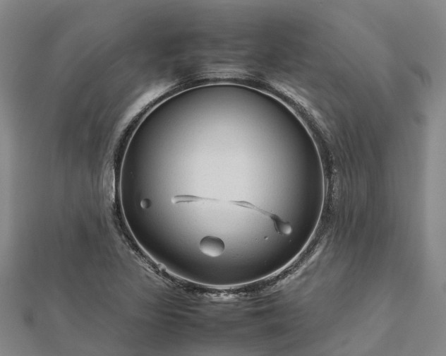 X0000113011317200909031306