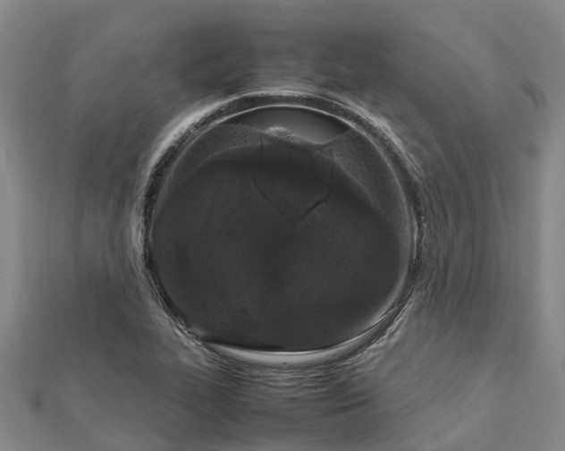 X0000113011319200909031306