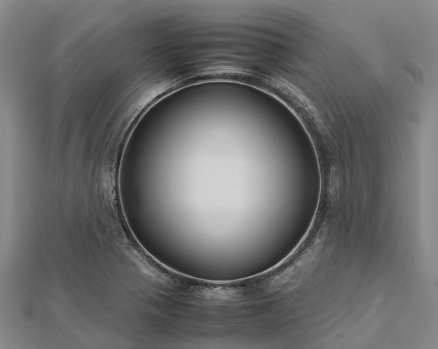 X0000113011321200909031306