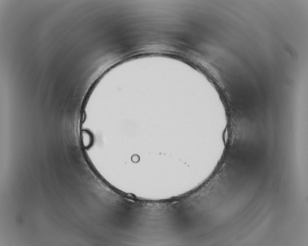 X0000113011322200909031306