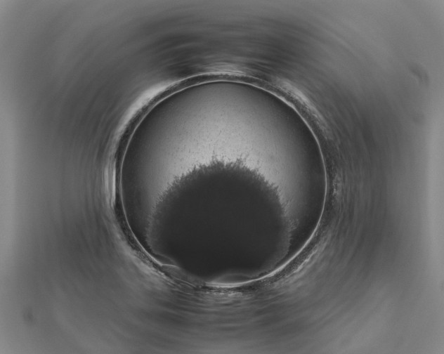 X0000113011323200909031306