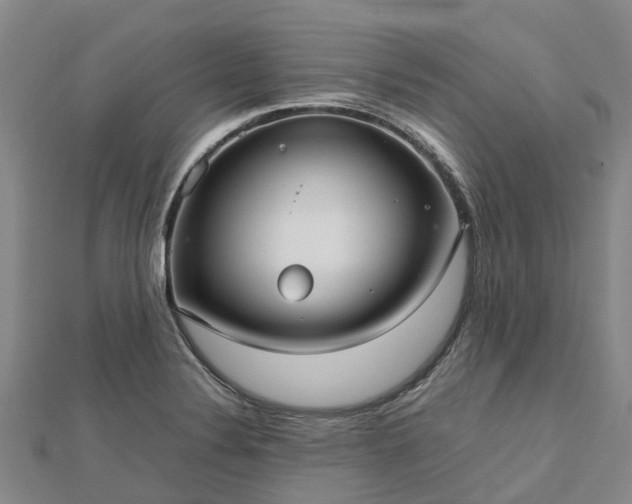 X0000113011324200909031306