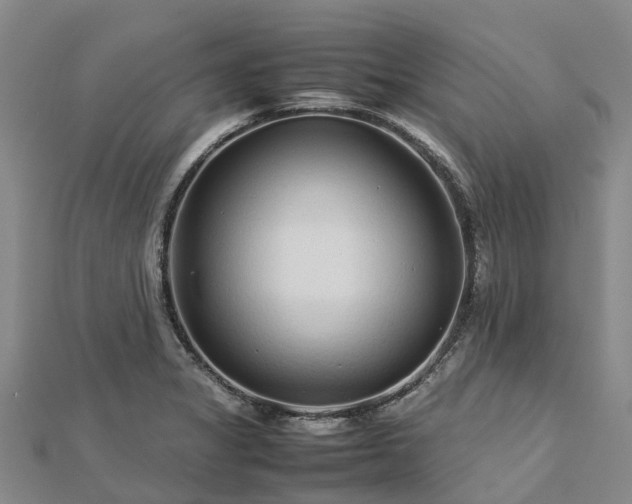 X0000113011325200909031306