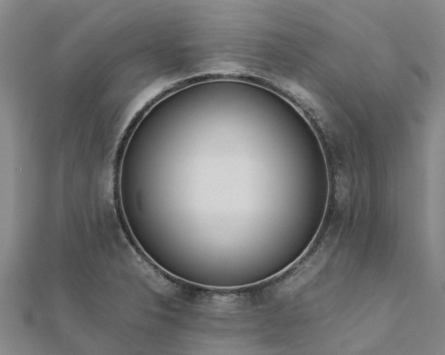 X0000113011326200909031306