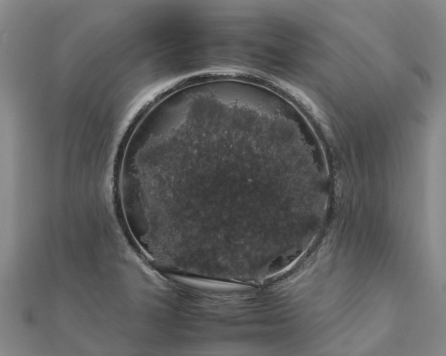 X0000113011327200909031306