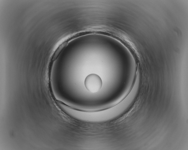 X0000113011328200909031306