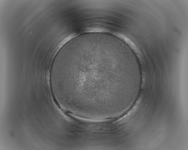 X0000113011329200909031306