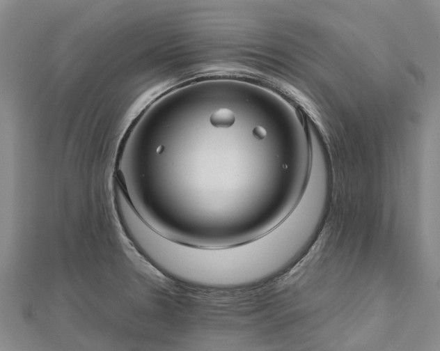 X0000113011330200909031306