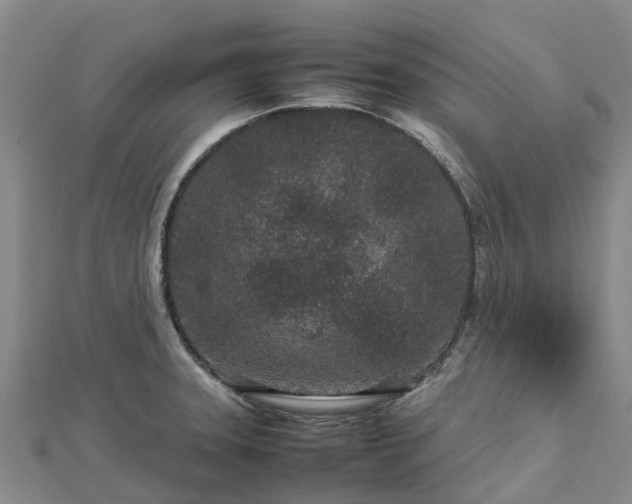 X0000113011331200909031306