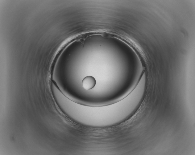 X0000113011332200909031306